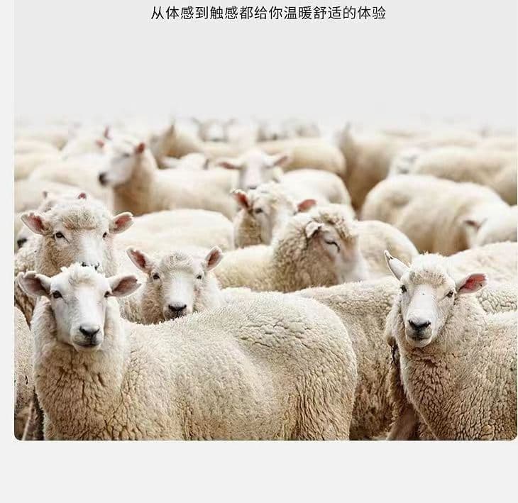 작은 샤넬 스타일 양모 양면 모직 코트 여성 짧은 맨위 중식 정장 칼라 외국 가스 고급 고급 센스 재킷 상세 이미지 1