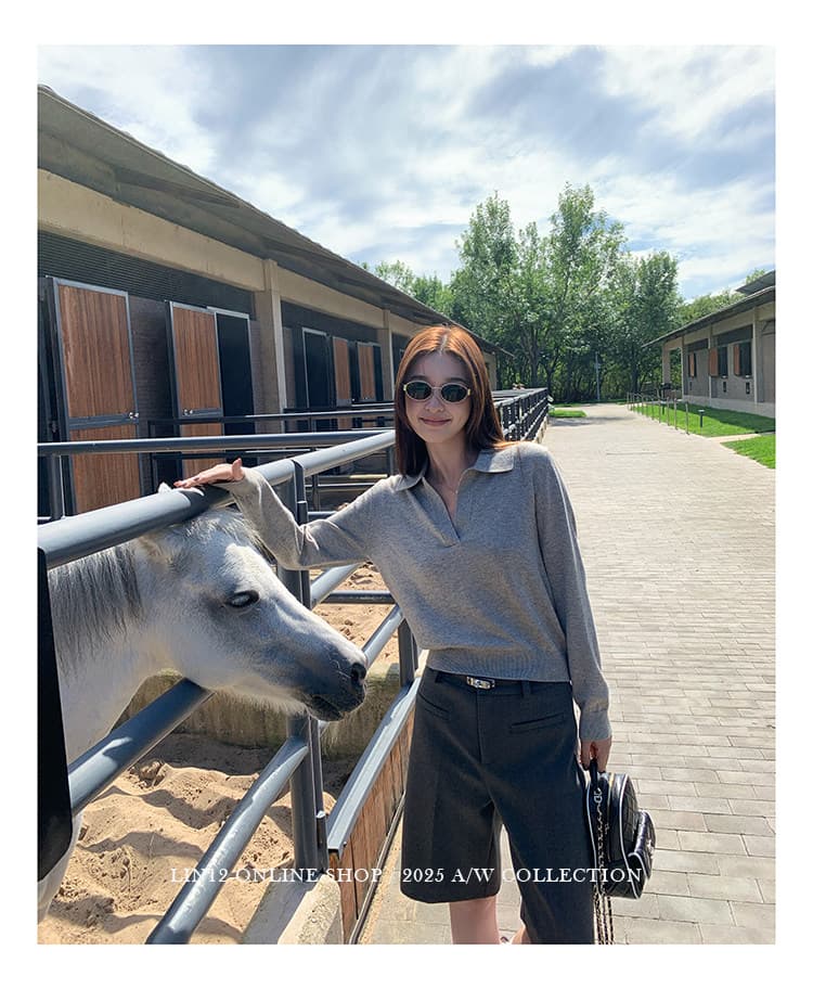 lin12- 높음 지혜 빛 사람들 스웨터 오래된 돈 바람 POLO 칼라 니트 스웨터 여성 느긋한 캐주얼 V넥 긴팔 맨위 상세 이미지 25