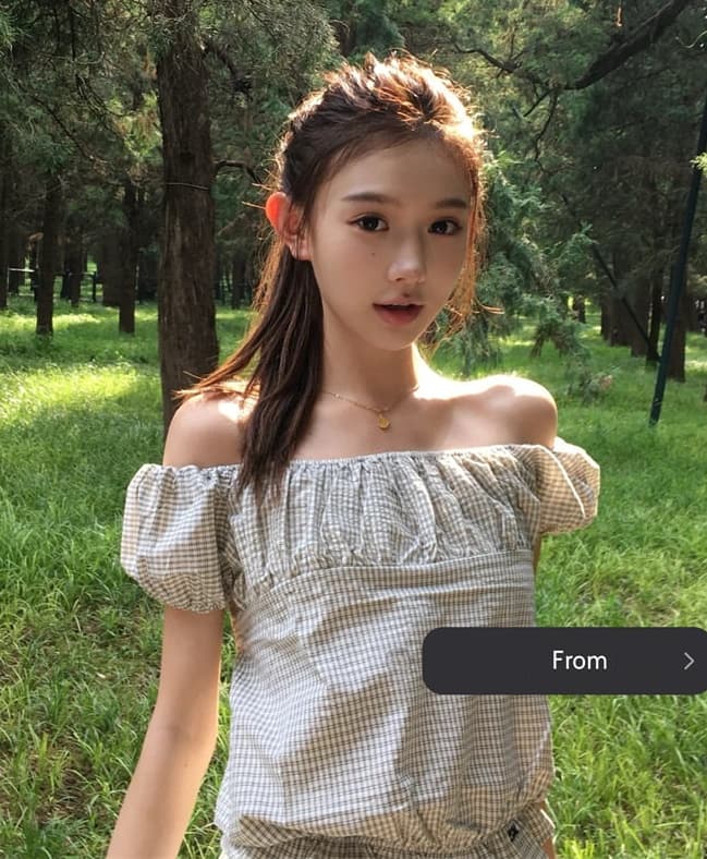 렌 민 장 후이 원자바오 같은 단락 레트로 보트넥 체크무늬 달콤함 거품 소매 셔츠 반팔 맨위 여성 이미지 2