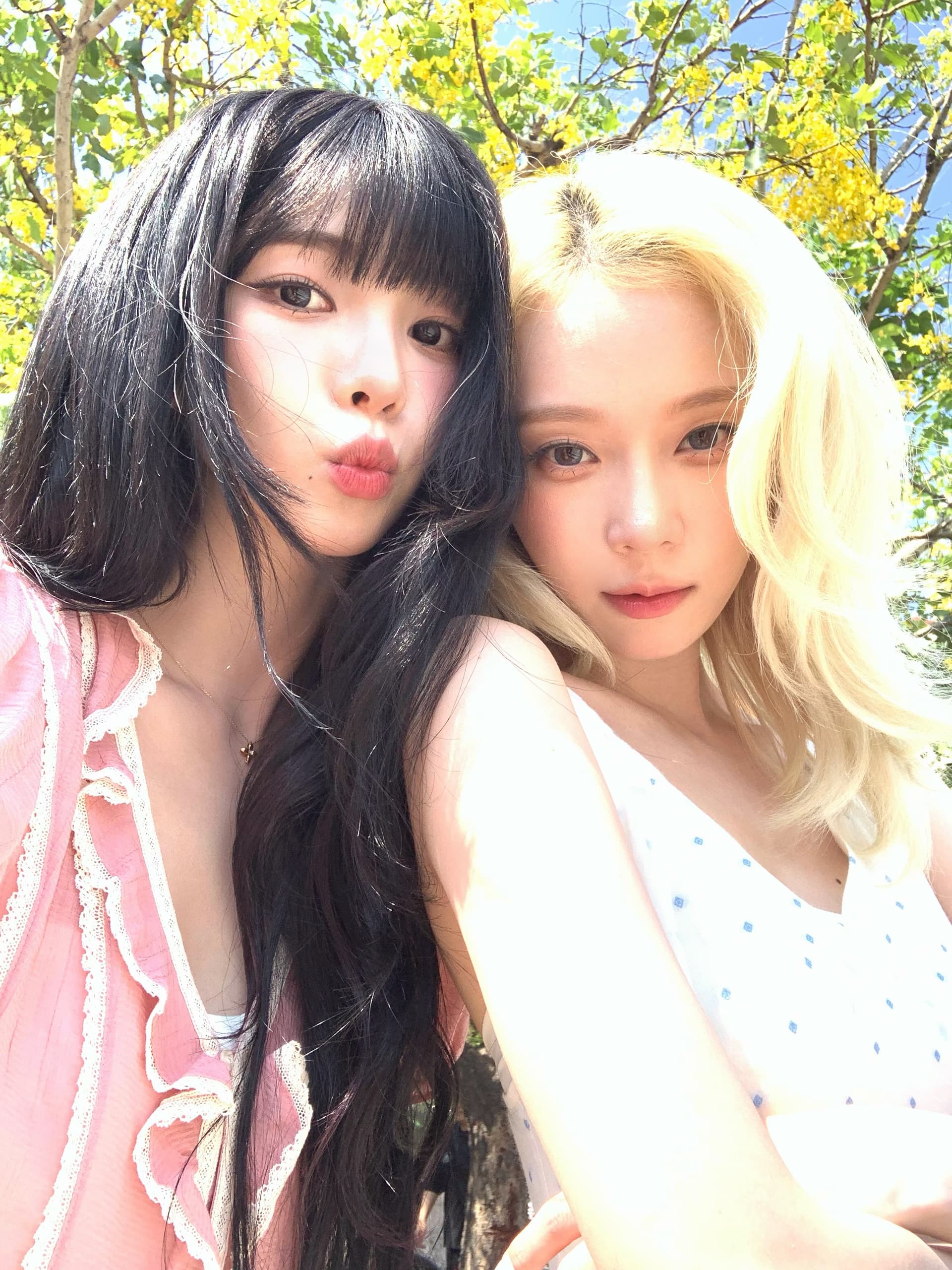 재고 있음 26 여름 새로운 달콤함 부드러운 바람 레이스 프릴 V넥 반팔 여성 셔츠 상세 이미지 1