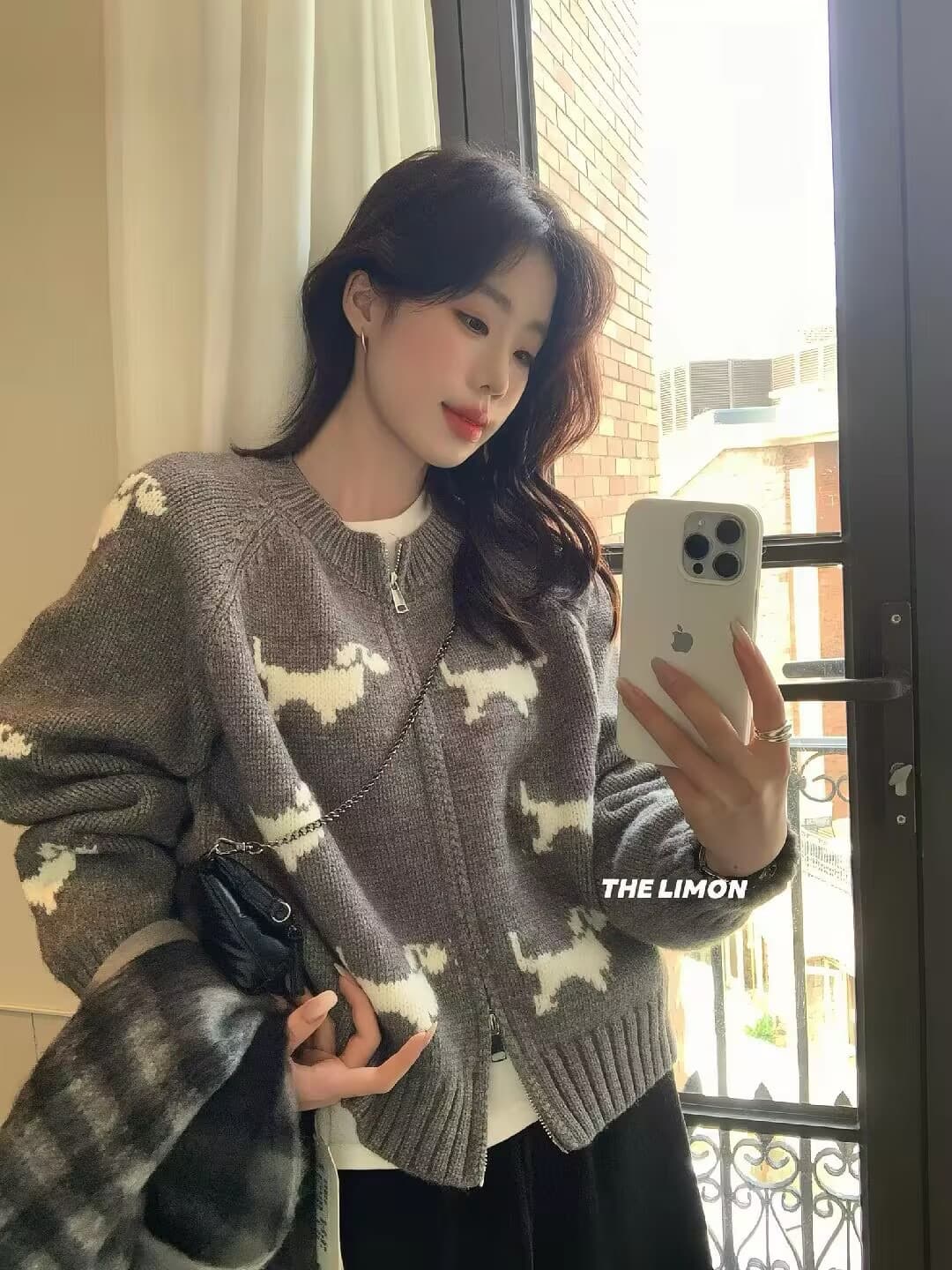 가을 겨울 한국 스타일 만화 강아지 자카드 더블 지퍼 루즈핏 연령 감소 스웨터 니트 카디건 코트 이미지 2