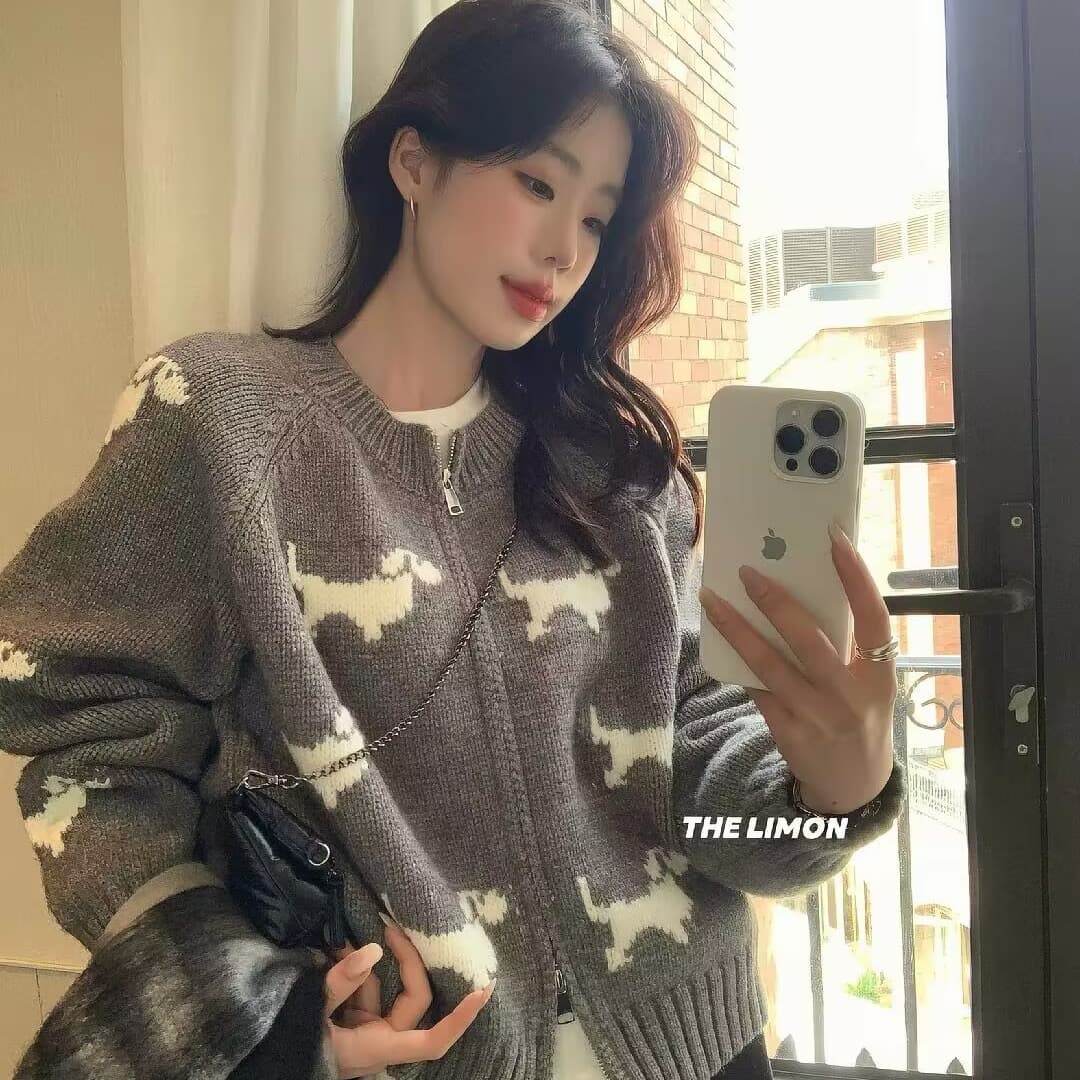 가을 겨울 한국 스타일 만화 강아지 자카드 더블 지퍼 루즈핏 연령 감소 스웨터 니트 카디건 코트 상세 이미지 4