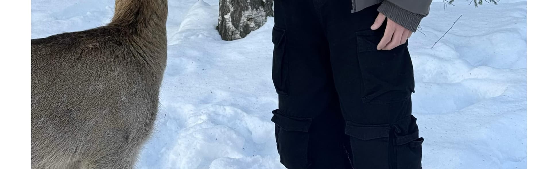 아메리칸 늑대 왕 모방 fall 털 후드 면 의류 남녀 겨울 털이 있는 좌 산 조각 면 옷 큰 모피 칼라 커플 두꺼움 재킷 상세 이미지 20