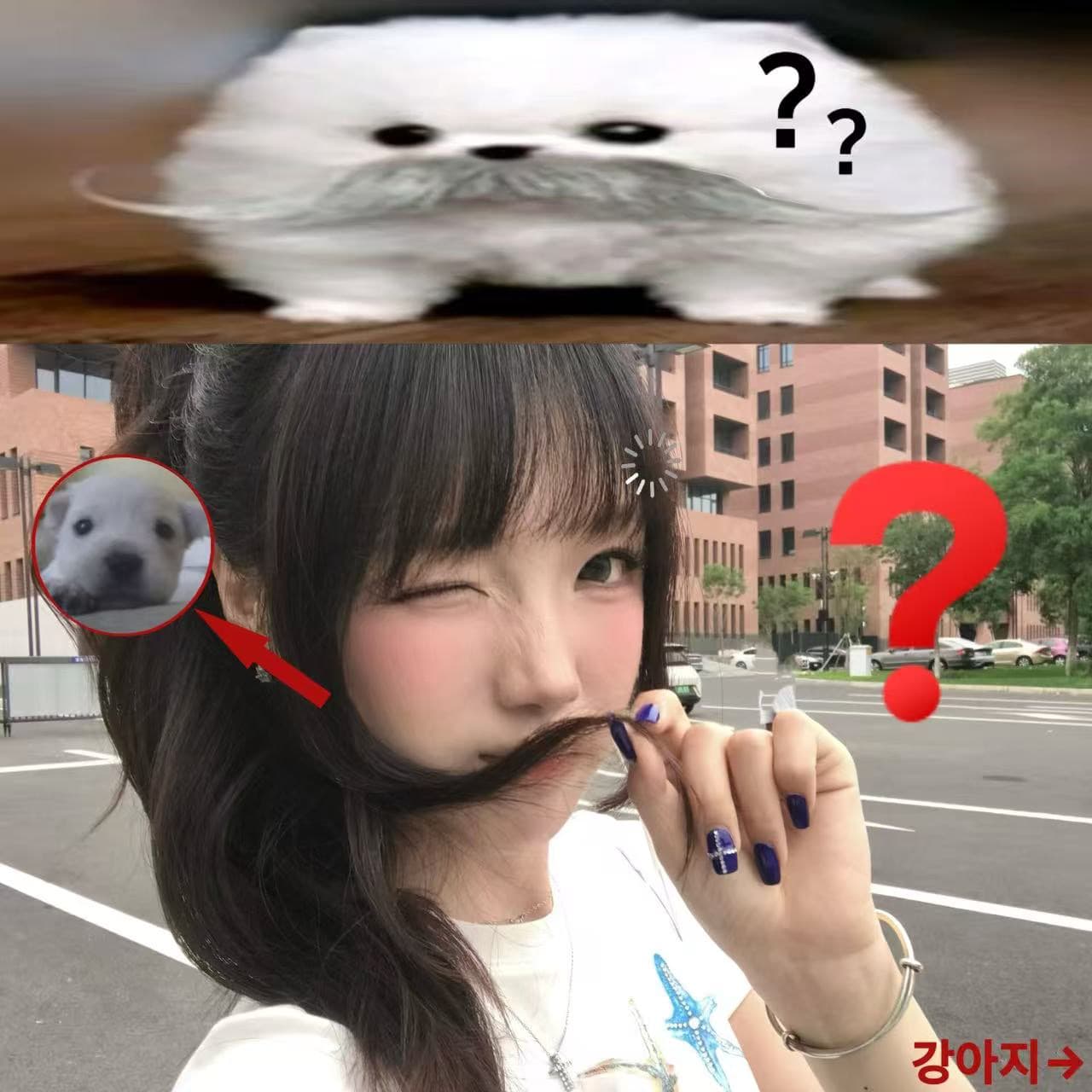아메리칸 레트로 순면 몸매 가꾸기 긍정적 인 어깨 라운드 넥 프린트 반팔 티셔츠 이미지 2