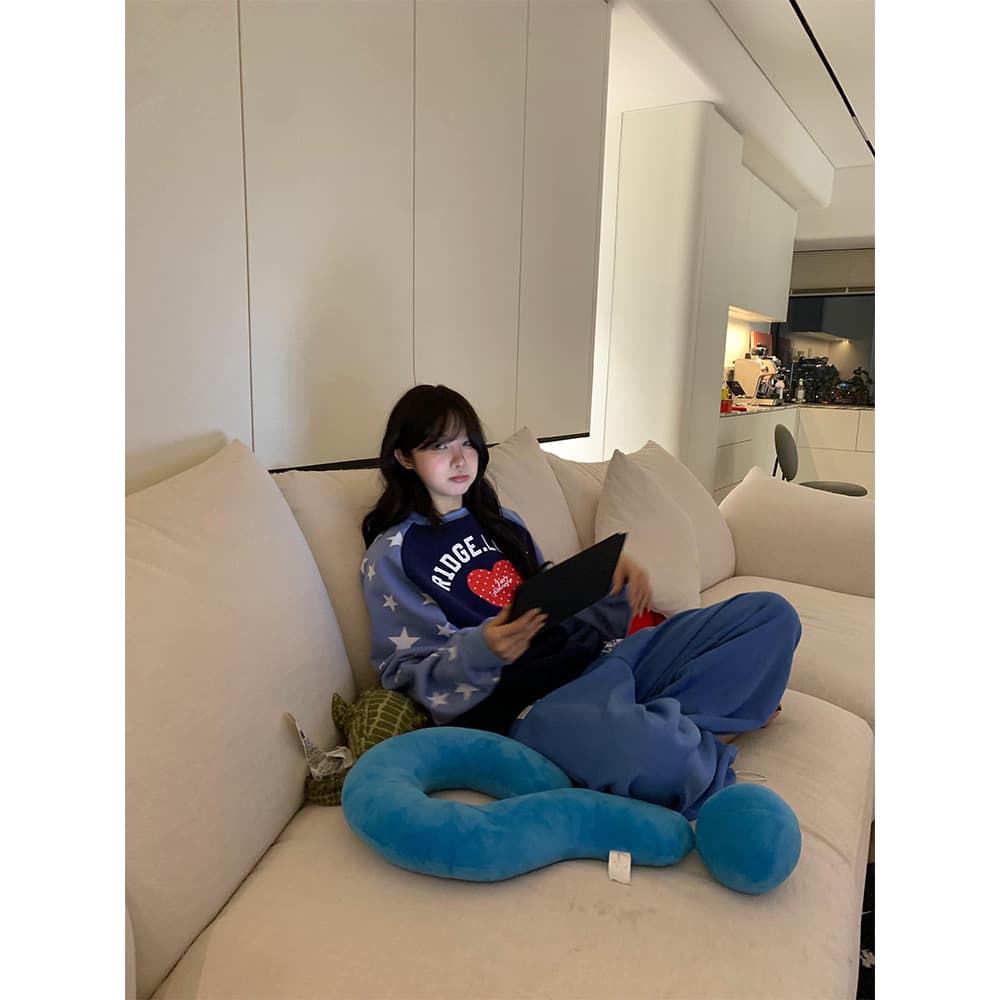 얇은 스타일 털이 있는 이후 패키지 칼라 순수한 Mianhua 면 복합 후드티 여성 상세 이미지 3