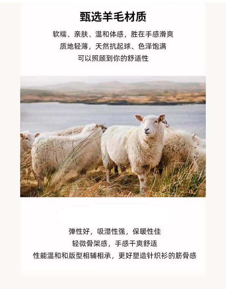 여성 가을 겨울 새로운 순수한 카디건 니트 꽈배기 레트로 오픈 가디건 다용도 광장 칼라 디자인 센스 스웨터 쇼트 스타일 재킷 상세 이미지 15
