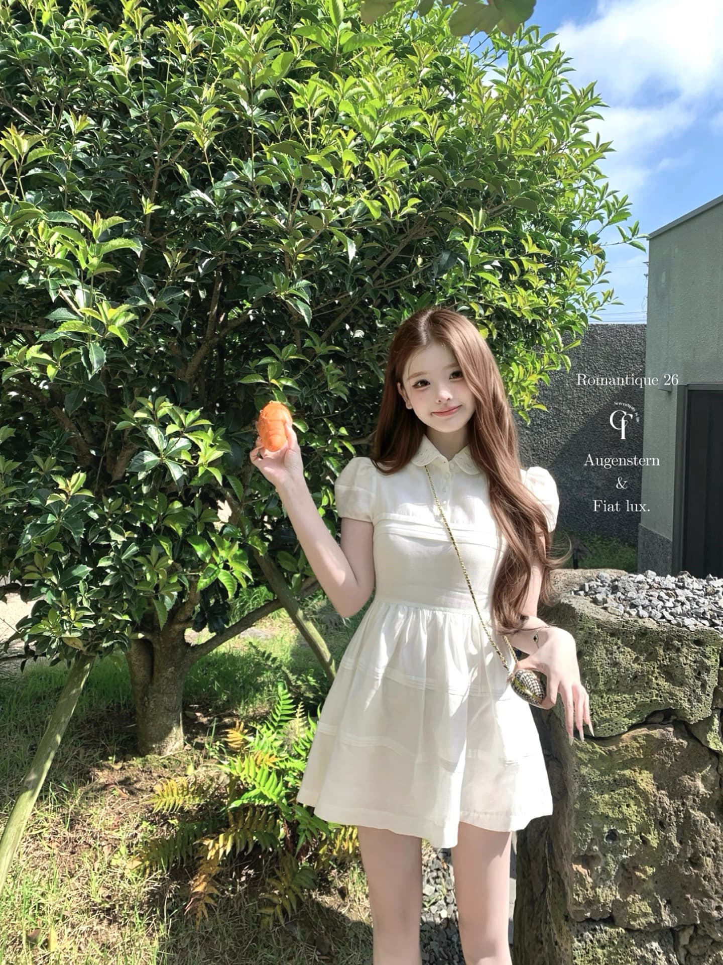 늦게 우산 우산 26 ss 빛 프로필 자르기 피터 팬 자수 폴로 칼라 민소매 반팔 드레스 이미지 4
