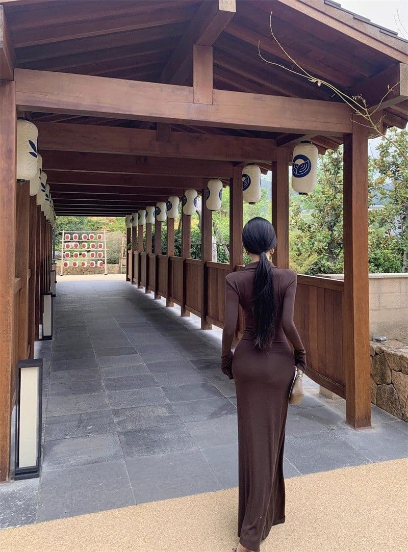 로얄 자매 바람 레트로 갈색 빨간색 색상 긴팔 여성 드레스 신년 로브 몸매 가꾸기 허리 수축 디스플레이 몸 품격 길다 치마 상세 이미지 3