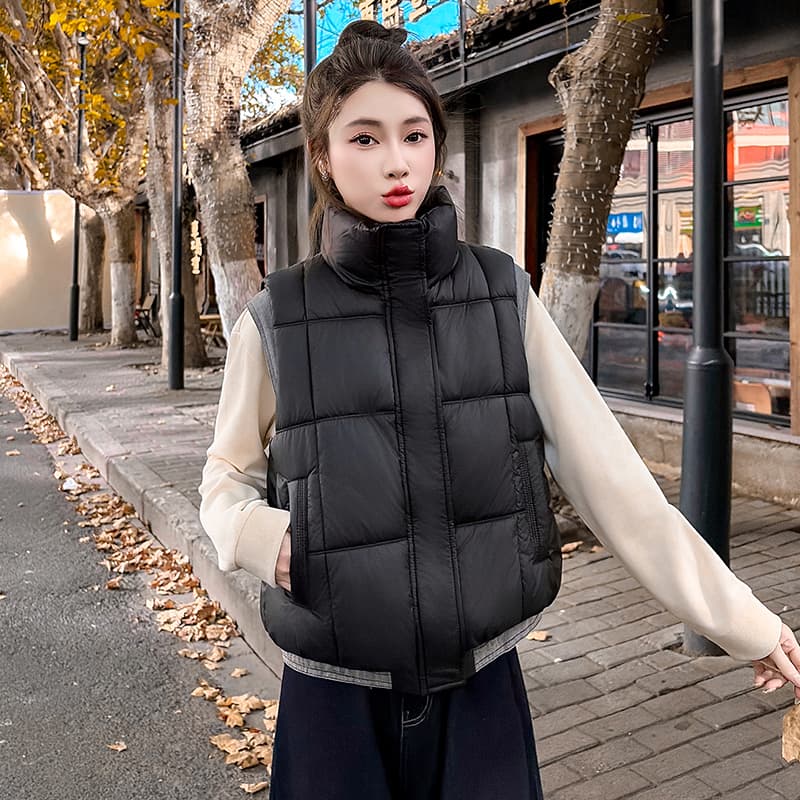 면 베스트 여성 코트 가을 겨울 2026 새로운 패션 쇼트 스타일 외출용 두꺼운 스탠드 칼라 민소매 조끼 조끼 이미지 4