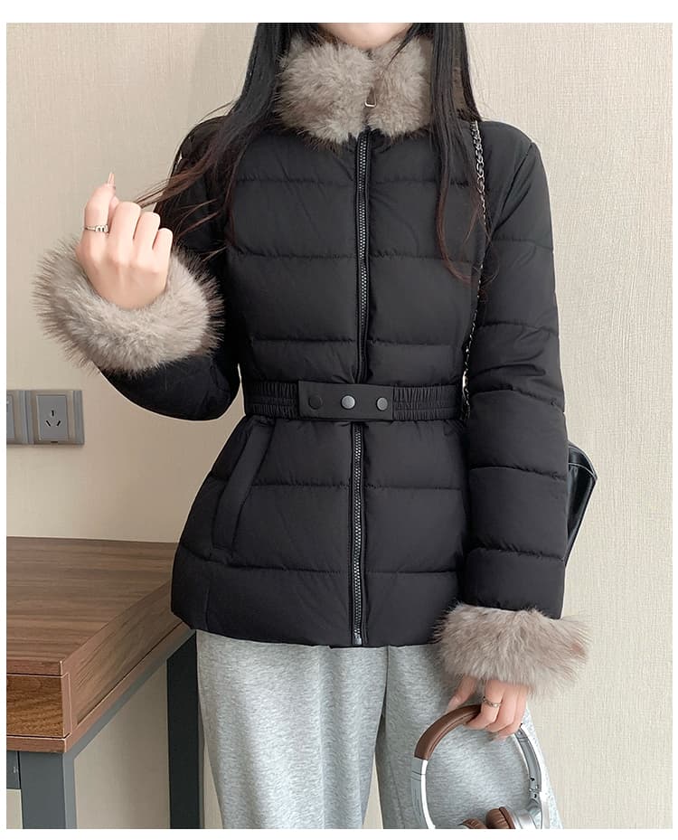 허리 수축 아래 면화 의류 여성 2026 년 새로운 갈비 살 면 옷 몸매 가꾸기 스탠드 칼라 목화 진딧물 겨울 고급 센스 재킷 상세 이미지 27
