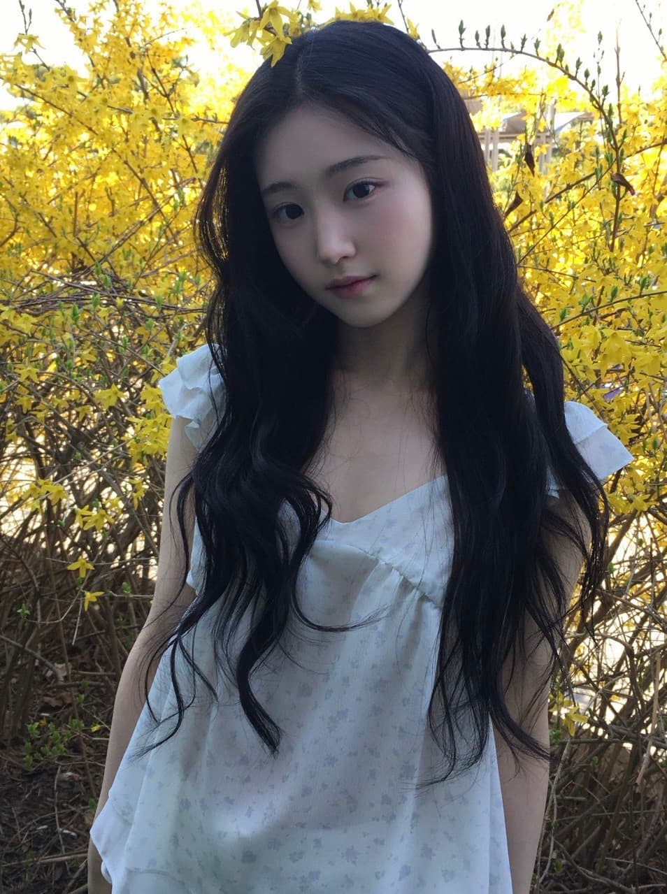 재고 있음 chic 동대문 부드러운 바람 꽃무늬 프릴 작은 날다 소매 쉬폰 셔츠 상세 이미지 23