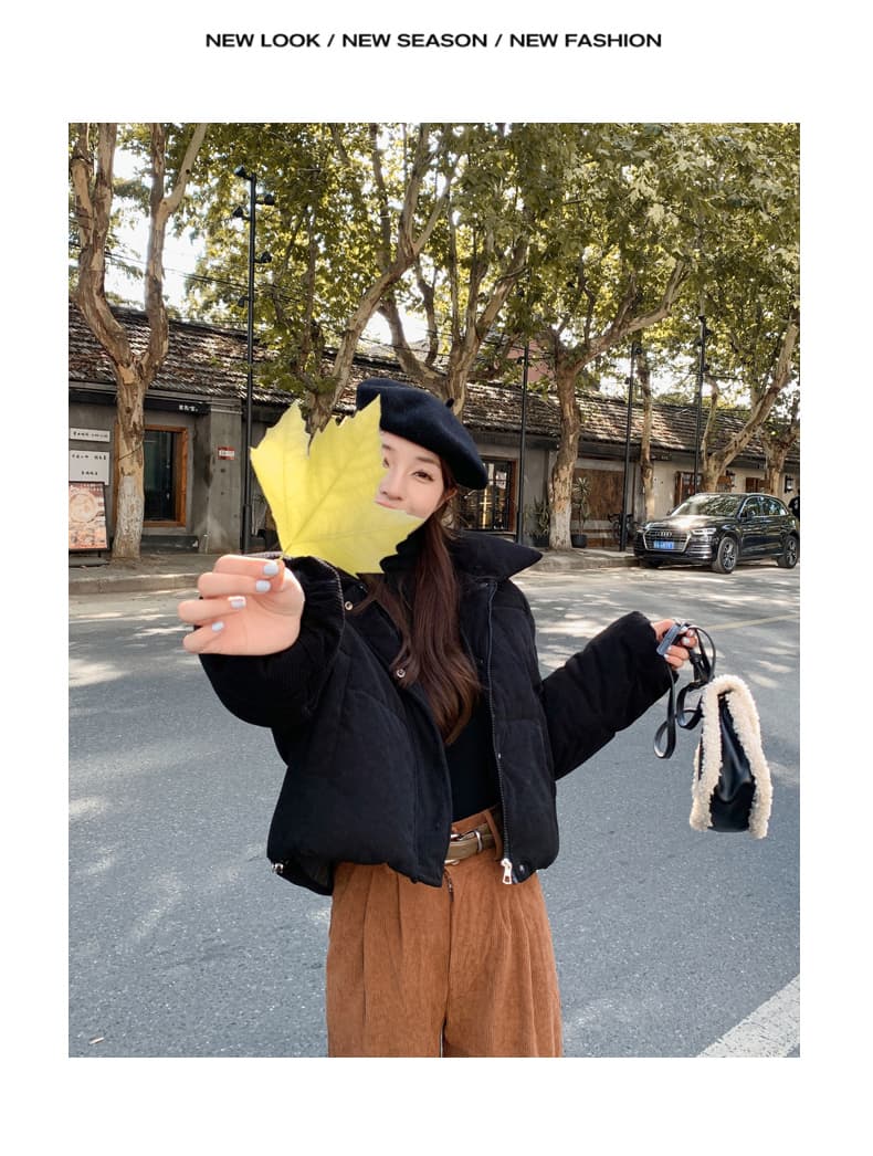한 부서 면 옷 작은 폴로 칼라 코듀로이 아래 면화 의류 두꺼운 패딩 재킷 쇼트 스타일 재킷 한국 대외 무역 국경 간 상세 이미지 51
