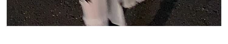 2026 새로운 프랑스식 첫사랑 불규칙 화이트 공주 생일 예복 여성 드레스 여름 아름다운 작은 키 상세 이미지 25