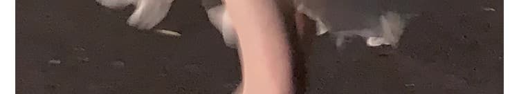 2026 새로운 프랑스식 첫사랑 불규칙 화이트 공주 생일 예복 여성 드레스 여름 아름다운 작은 키 상세 이미지 48