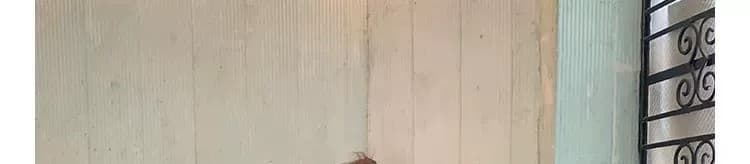 달콤한 매운맛 쇼트 스타일 거품 소매 체크무늬 여성 셔츠 여름 광장 칼라 나비 매듭 작은 키 슬림해 보이는 순수한 욕망 바람 반팔 맨위 상세 이미지 10