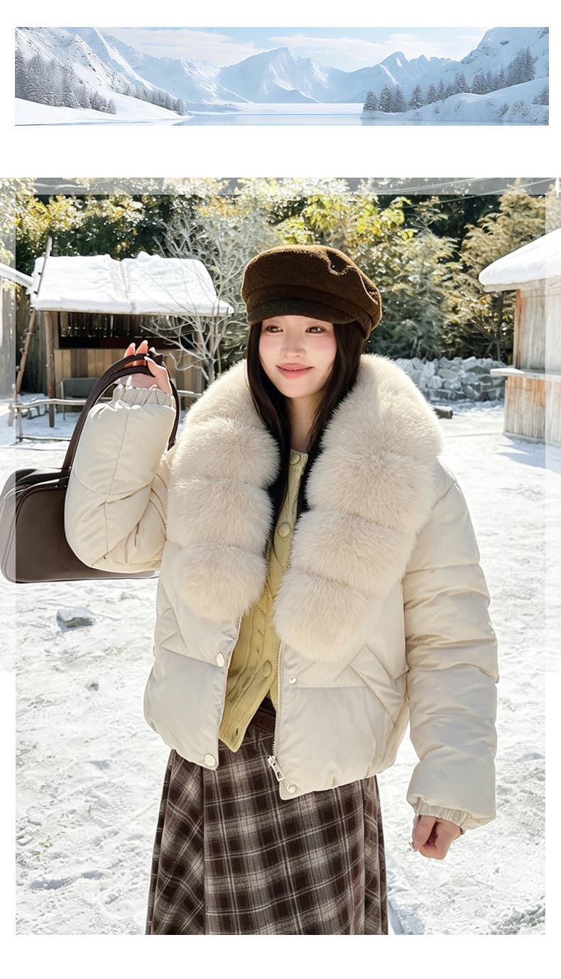 실사 큰 모피 칼라 겨울 새로운 쇼트 스타일 아래 면화 의류 여성 루즈핏 두꺼운 작은 키 한 부서 목화 진딧물 재킷 상세 이미지 18