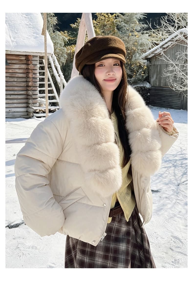실사 큰 모피 칼라 겨울 새로운 쇼트 스타일 아래 면화 의류 여성 루즈핏 두꺼운 작은 키 한 부서 목화 진딧물 재킷 상세 이미지 19