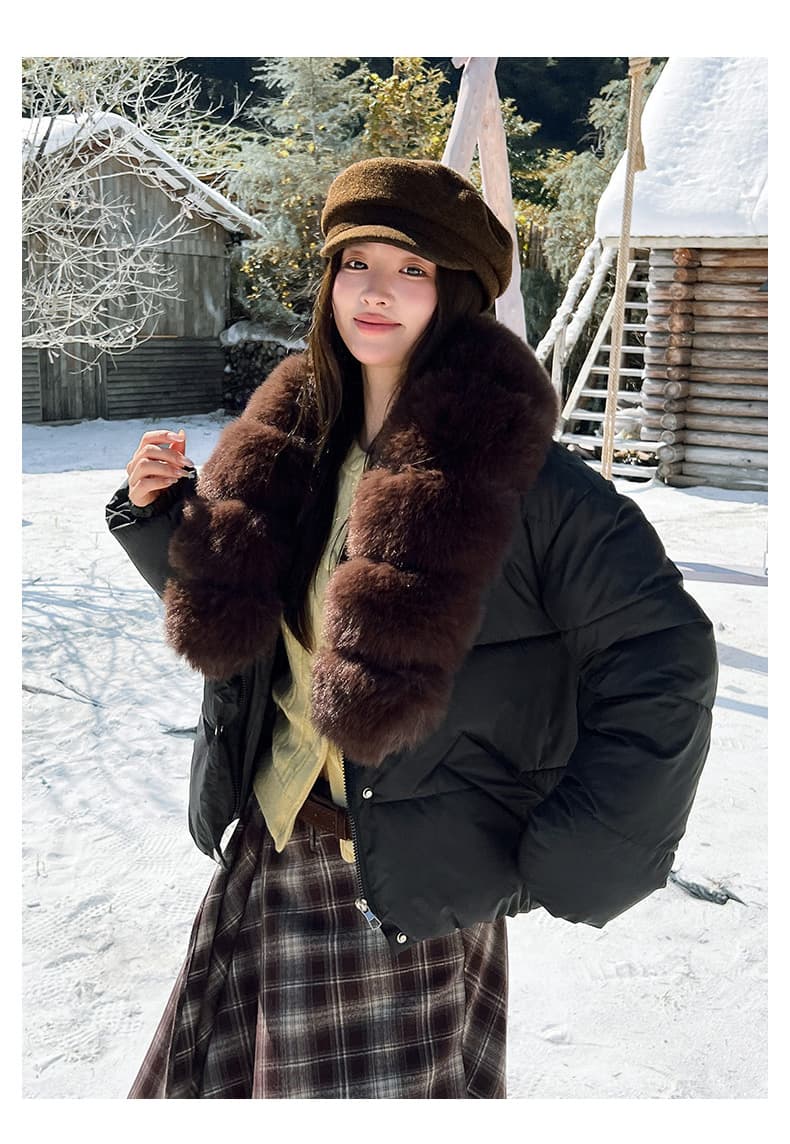 실사 큰 모피 칼라 겨울 새로운 쇼트 스타일 아래 면화 의류 여성 루즈핏 두꺼운 작은 키 한 부서 목화 진딧물 재킷 상세 이미지 24
