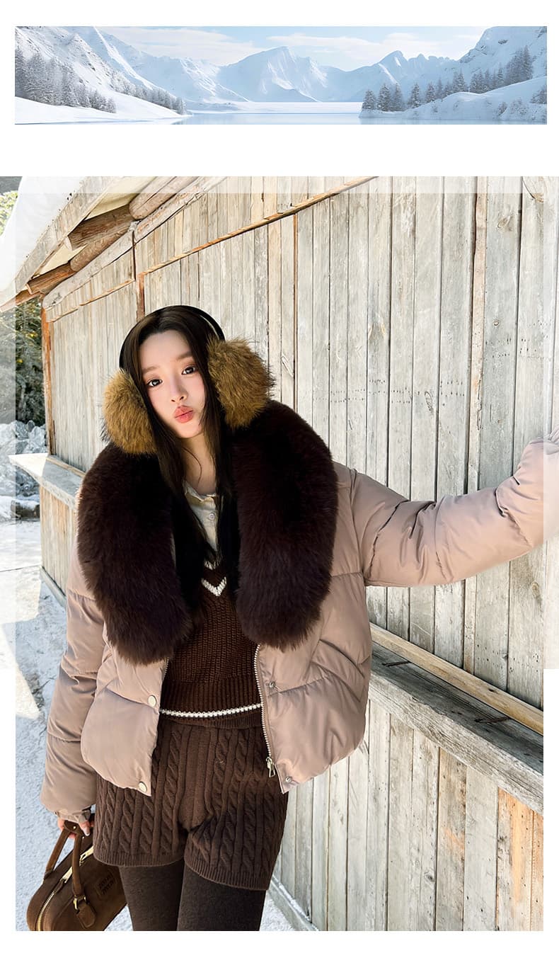 실사 큰 모피 칼라 겨울 새로운 쇼트 스타일 아래 면화 의류 여성 루즈핏 두꺼운 작은 키 한 부서 목화 진딧물 재킷 상세 이미지 28