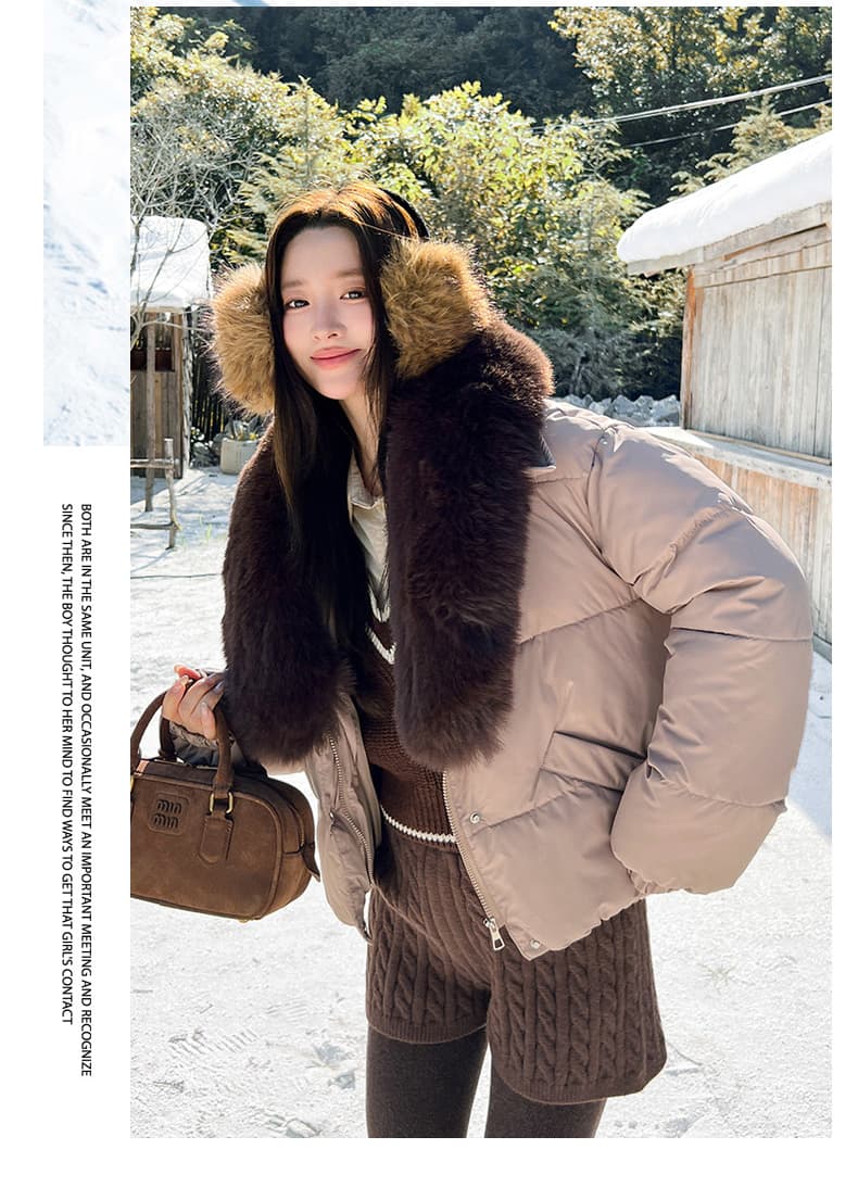 실사 큰 모피 칼라 겨울 새로운 쇼트 스타일 아래 면화 의류 여성 루즈핏 두꺼운 작은 키 한 부서 목화 진딧물 재킷 상세 이미지 31