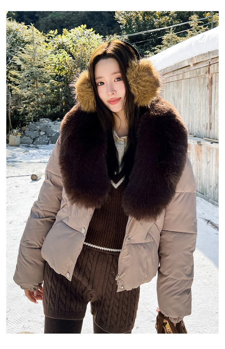 실사 큰 모피 칼라 겨울 새로운 쇼트 스타일 아래 면화 의류 여성 루즈핏 두꺼운 작은 키 한 부서 목화 진딧물 재킷 상세 이미지 32