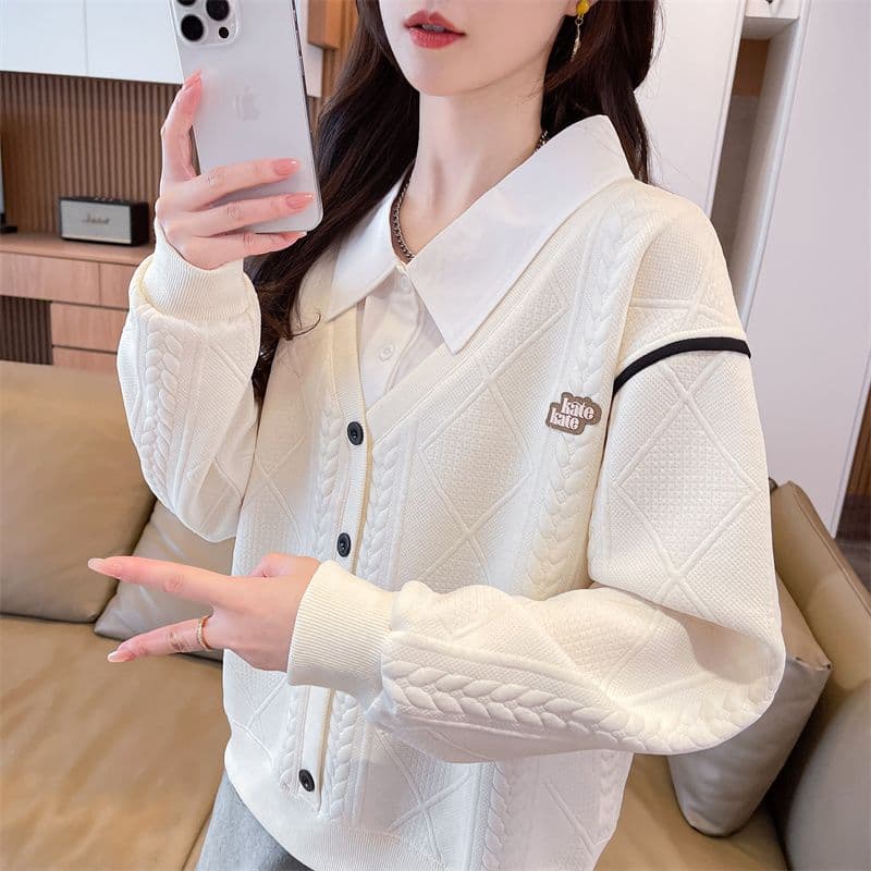 실사 2026 가을 겨울 새로운 작은 키 연령 감소 느긋한 바람 빅 사이즈 페이크 레이어드 POLO 칼라 맨위 후드티 여성 이미지 3