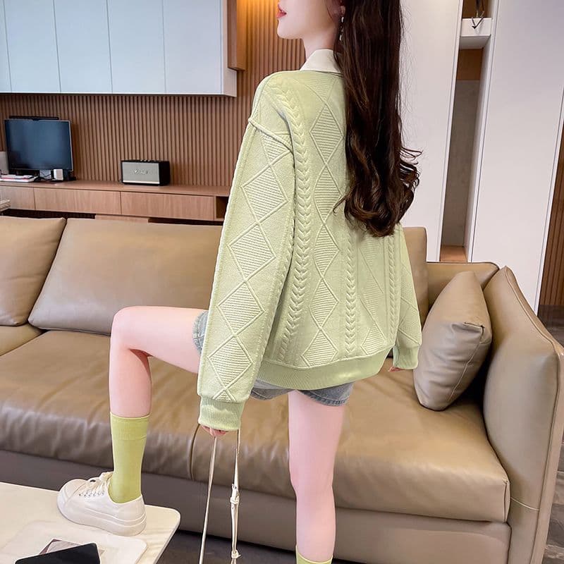 실사 2026 가을 겨울 새로운 자수 빅 사이즈 디자인 센스 POLO 칼라 미니멀리즘 풀오버 연령 감소 맨위 후드티 여성 상세 이미지 17