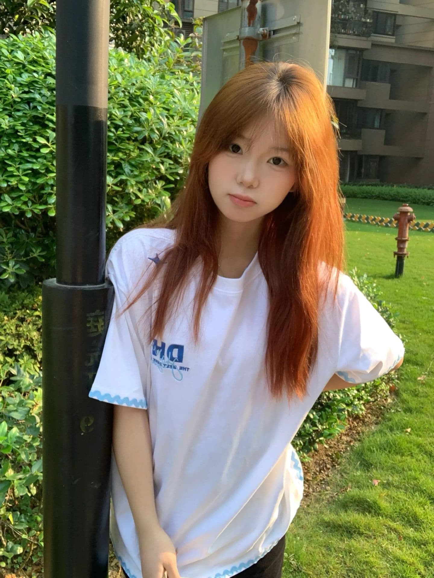 한국 스타일 패션 자수 조개 자수 루즈핏 티셔츠 상세 이미지 3