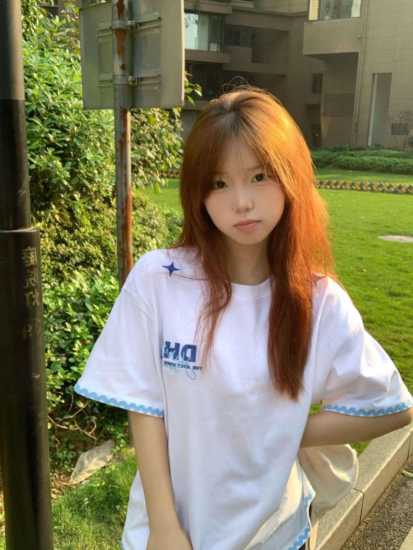 한국 스타일 패션 자수 조개 자수 루즈핏 티셔츠 상세 이미지 6