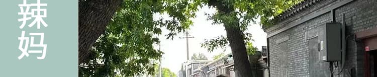 지금 임산부 새로운 패션 세트 여름 루즈핏 V넥 반팔 맨위 하이웨이스트 복부 지지 슬림해 보이는 반신 바지 상세 이미지 2