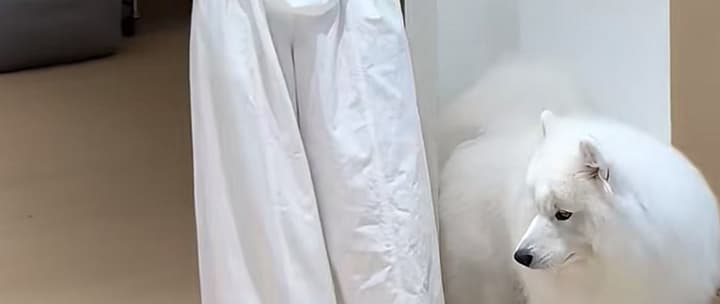 지금 새로운 가을 코디 캐주얼 패션 비스듬한 어깨 의류 화이트 와이드 레그 팬츠 세트 상세 이미지 20