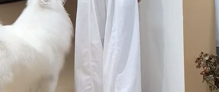 지금 새로운 가을 코디 캐주얼 패션 비스듬한 어깨 의류 화이트 와이드 레그 팬츠 세트 상세 이미지 24