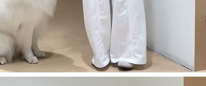 지금 새로운 가을 코디 캐주얼 패션 비스듬한 어깨 의류 화이트 와이드 레그 팬츠 세트 상세 이미지 32