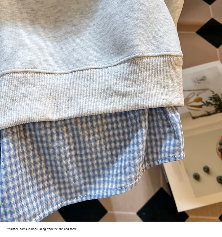 2026 가을 새로운 POLO 칼라 페이크 레이어드 패치워크 맨위 작은 청신 학원 스타일 슬림해 보이는 다용도 외국 가스 후드티 상세 이미지 36