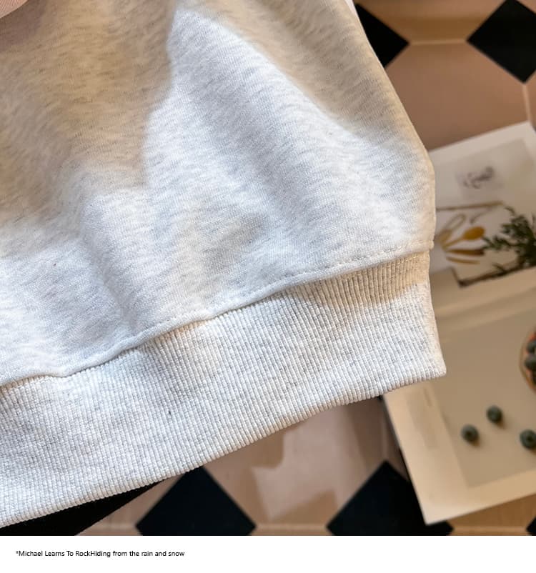 실사 2026 가을 새로운 POLO 칼라 작은 청신 문예 팬 다용도 루즈핏 패션 자수 디자인 센스 후드티 상세 이미지 35