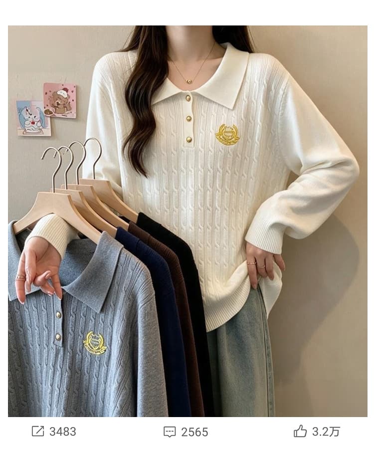 2026 가을 새로운 빅 사이즈 여성 의류 루즈핏 슬림해 보이는 다용도 POLO 칼라 자수 통통한 여동생 니트 기본 셔츠 여성 상세 이미지 5