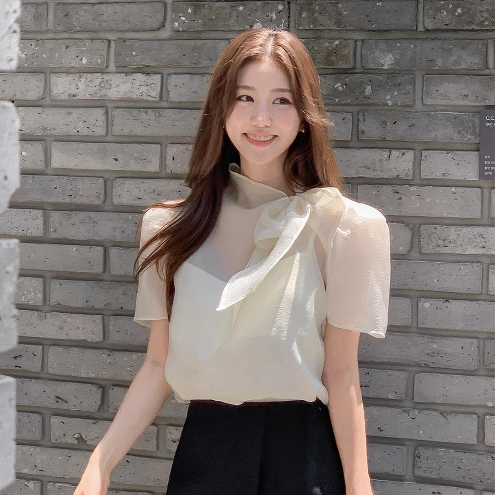 한국 스타일 패션 나비 매듭 부서 넥타이 반팔 시스루 쉬폰 블라우스 맨위 상세 이미지 8