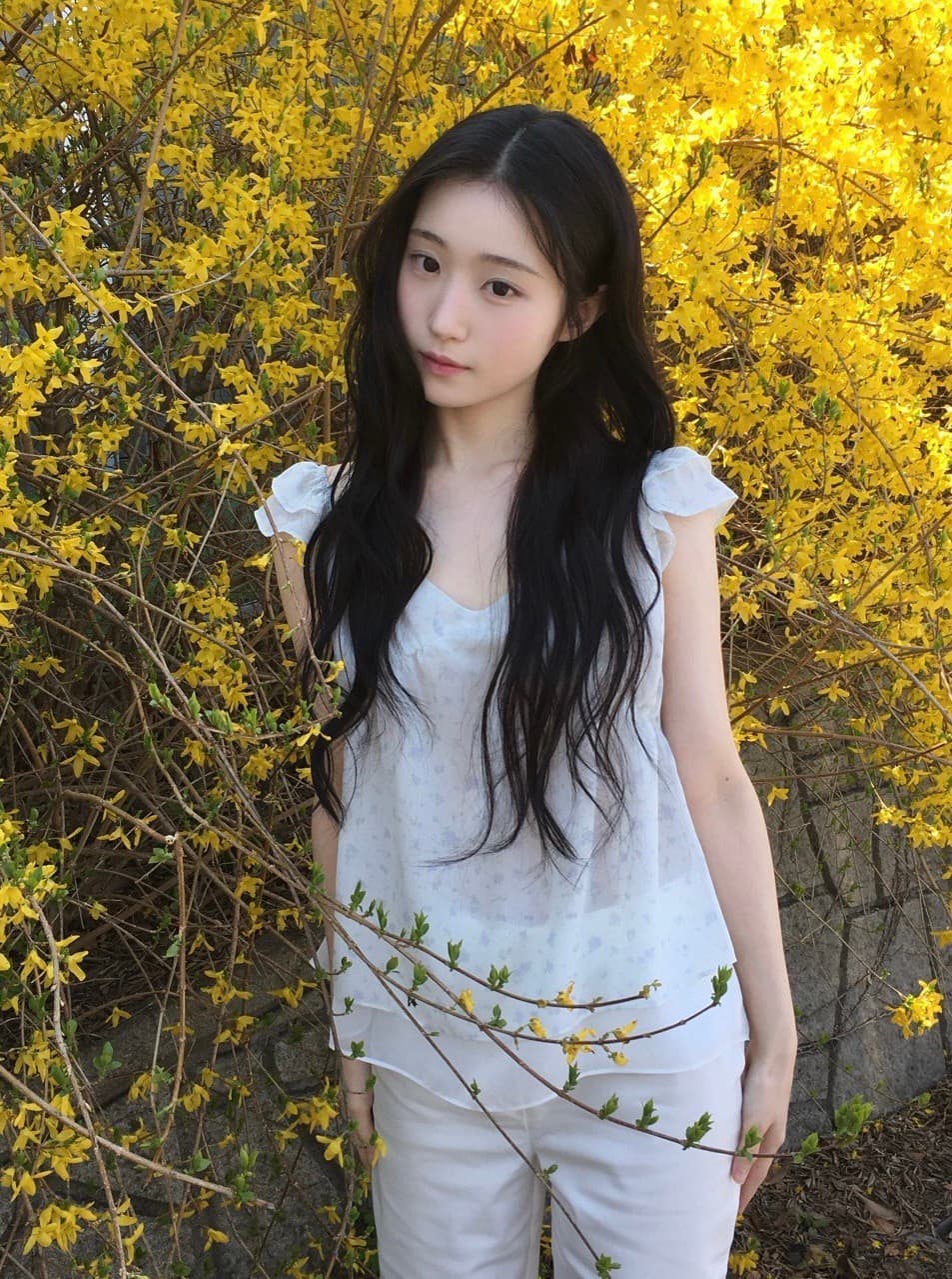 재고 있음 chic 동대문 부드러운 바람 꽃무늬 프릴 작은 날다 소매 쉬폰 셔츠 상세 이미지 6