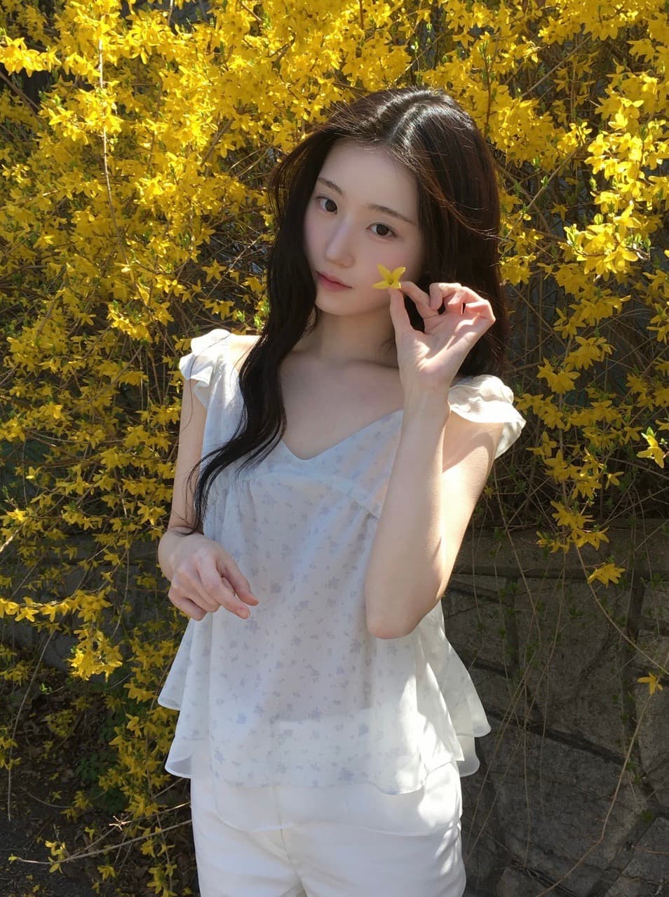 재고 있음 chic 동대문 부드러운 바람 꽃무늬 프릴 작은 날다 소매 쉬폰 셔츠 상세 이미지 14