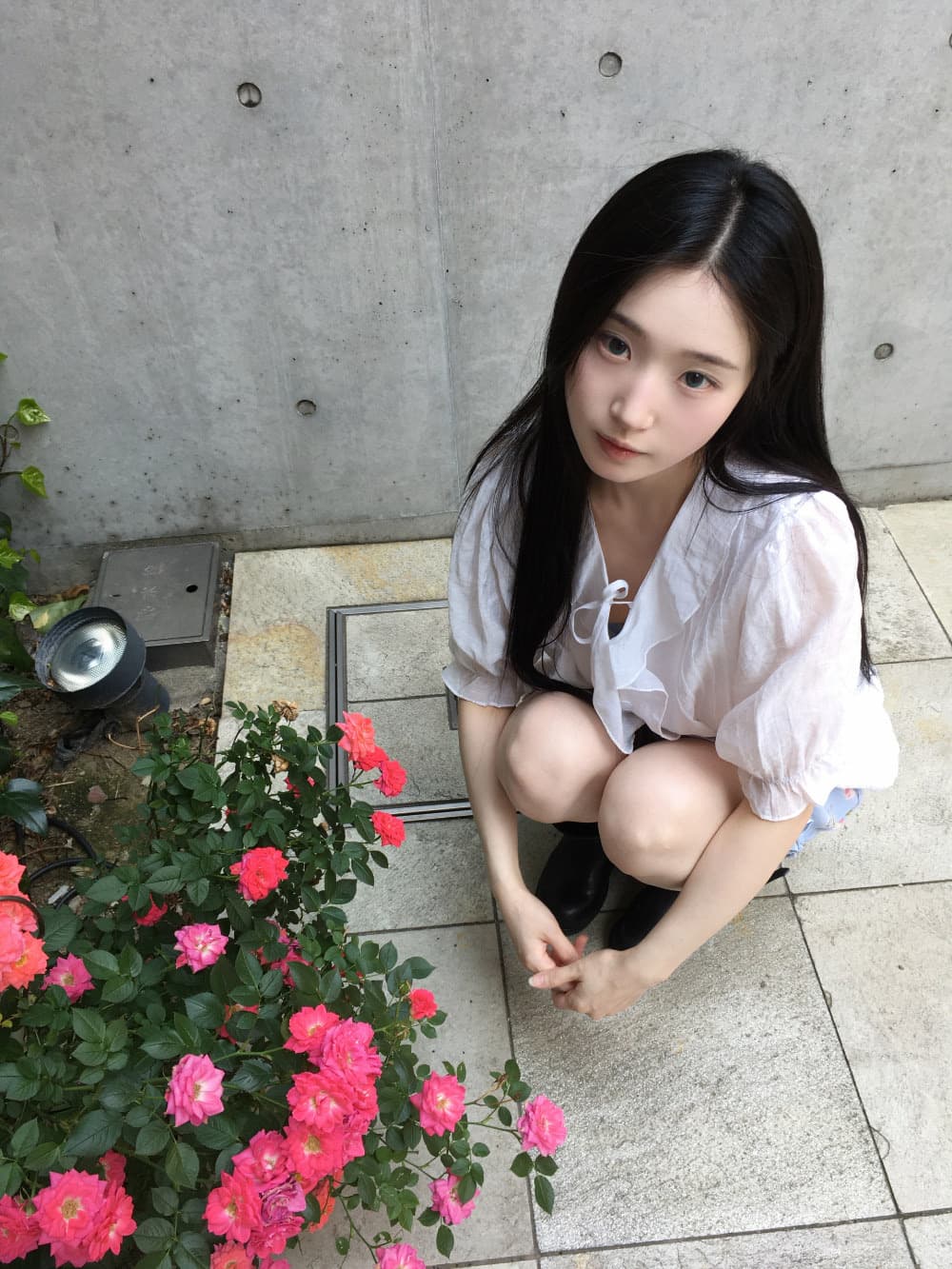 2026 여름 프릴 폴로 칼라 화이트 반팔 셔츠 상세 이미지 16