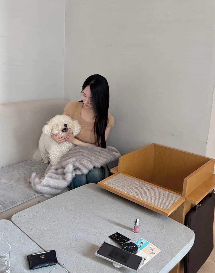 한국 동대문 새로운 품격 광장 칼라 플리스 플러시 편안함 쇼트 스타일 디스플레이 몸 반팔 니트 스웨터 티셔츠 여성 상세 이미지 10