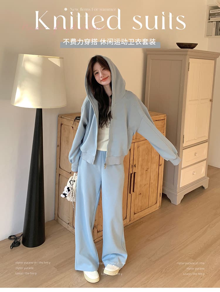 한 부서 chic 세트 여성 2026 새로운 후드 재킷 와이드 레그 팬츠 투피스 세트 있음 털이 있는 그리고 추가되지 않음 플러시 상세 이미지 1