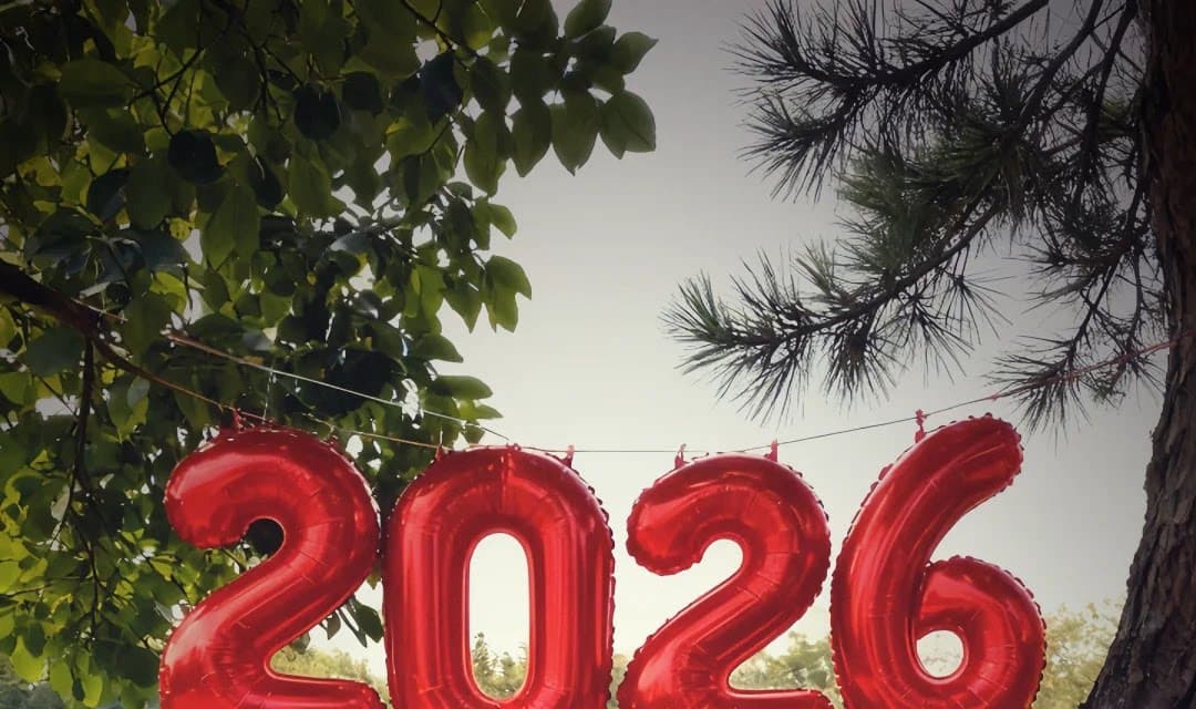 2026 슈퍼 화재 고유 한 아름다운 가을 겨울 의류 전체 집합 띠띠해 신년 빨간색 스웨터 반신 스커트 투피스 슈트 상세 이미지 1