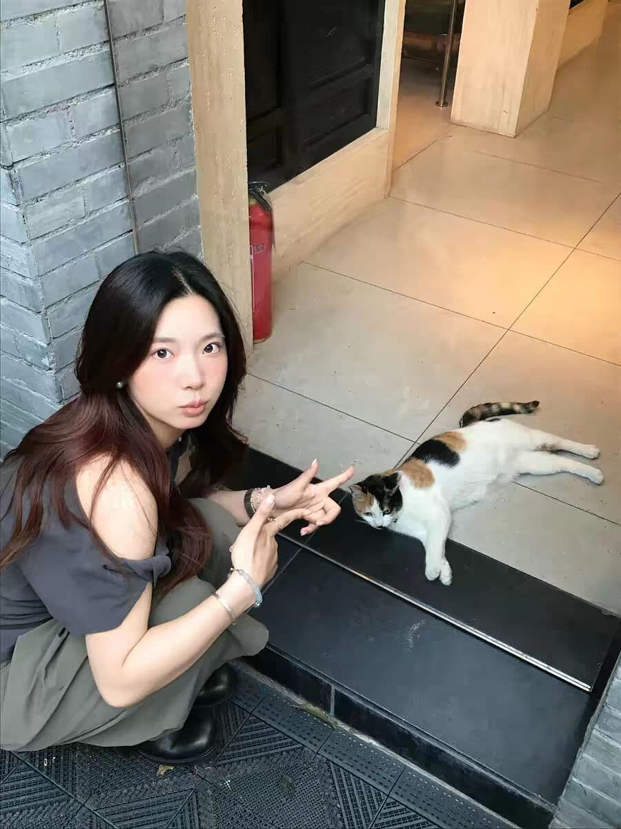40 면 1 1 오스트리아 세대 서울 220 그램 이후 패키지 칼라 디자인 센스 작은 대중 비스듬한 어깨 비틀림 반팔 이미지 2