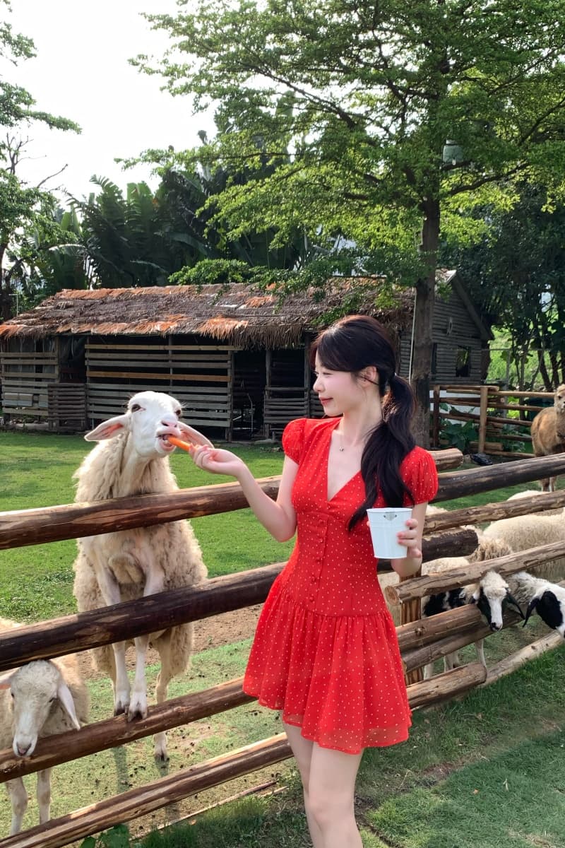 실사 정가 뜨거운 카드 로라 얇은 스타일 여성 드레스 여름 새로운 허리 수축 슬림해 보이는 도트 무늬 치마 상세 이미지 17