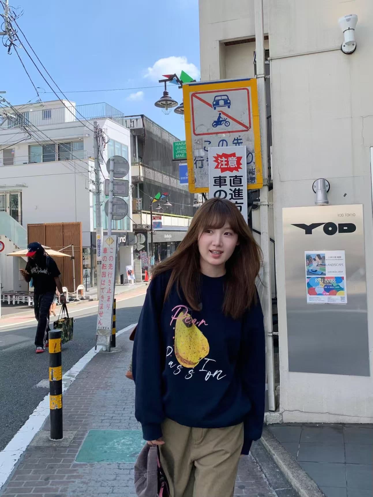 새로운 생방송 품질 얇은 스타일 은 여우 플러시 털이 있는 라운드 넥 과일 알파벳