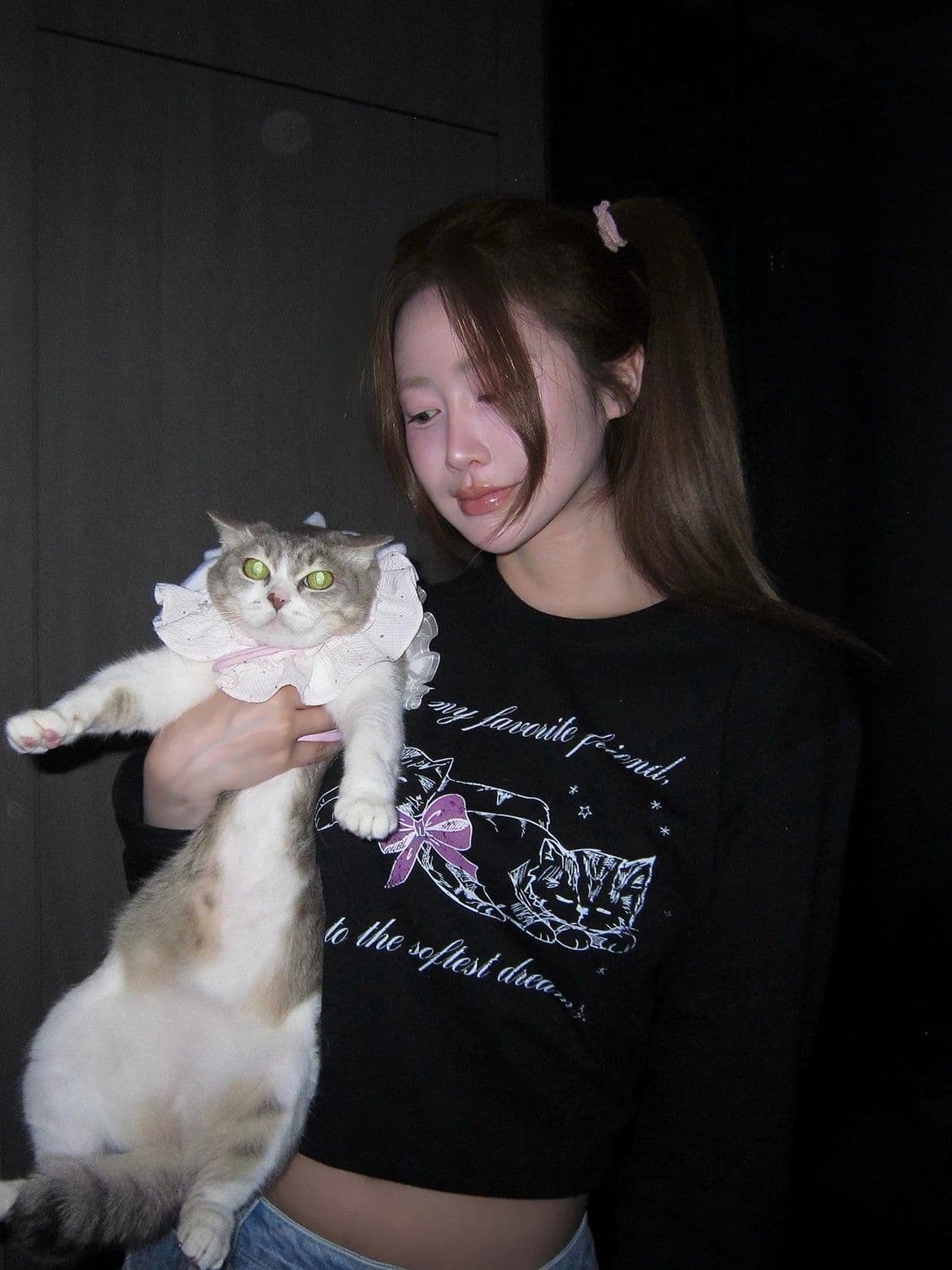 봄 가을 새로운 이후 패키지 칼라 긴팔 라운드 넥 티셔츠 고양이 프린트 맨위 상세 이미지 6