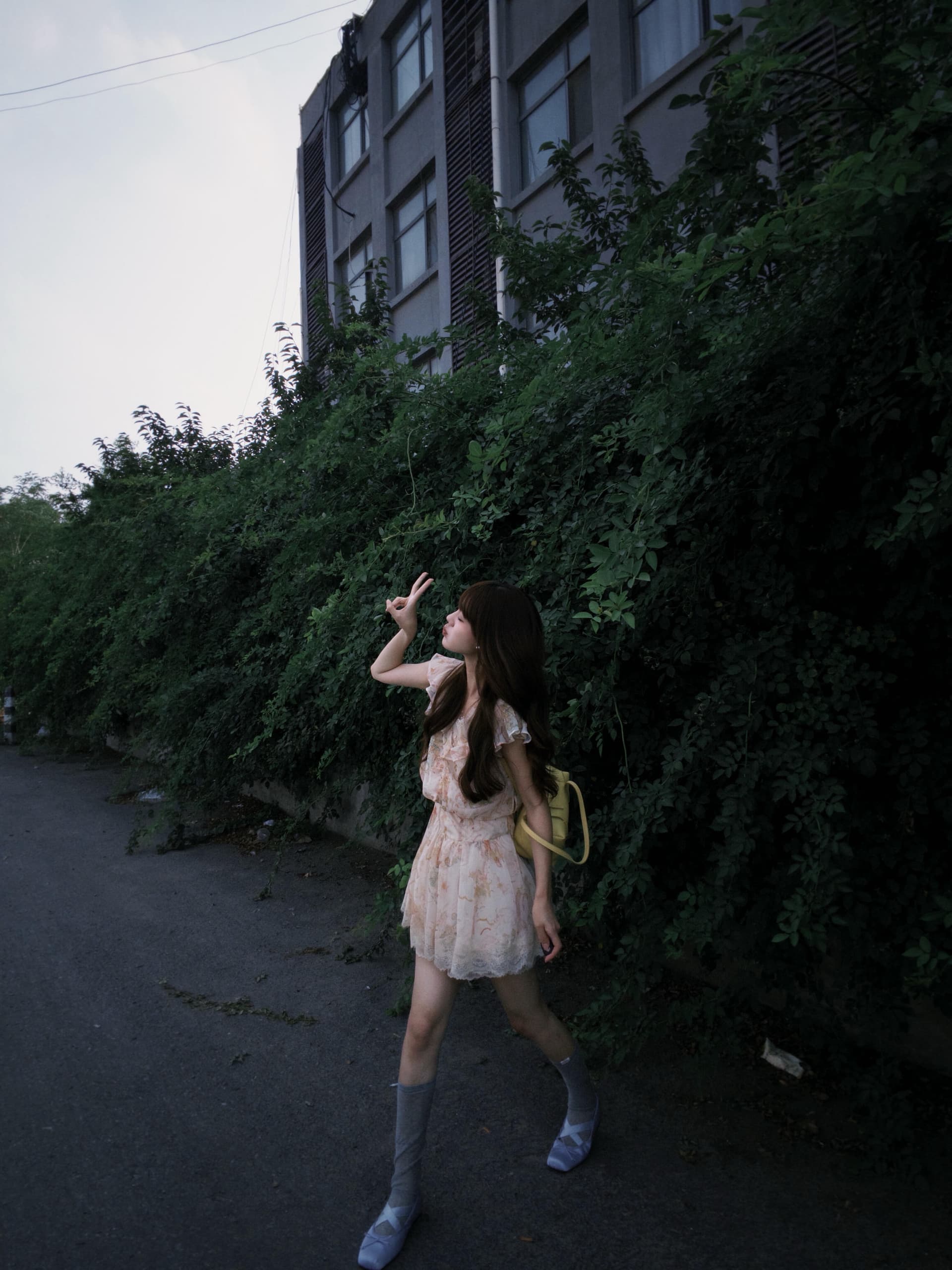 프랑스식 낭만주의 쉬폰 케이크 여성 드레스 2026 여름 드레스 새로운 레이스 조각 길다 쇼트 스타일 치마 상세 이미지 3