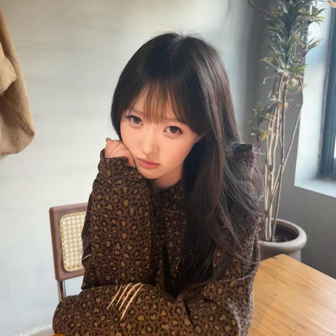 얇은 스타일 털이 있는 이후 패키지 기사 자수 순수한 Mianhua 면 복합 후드티 여성 이미지 5
