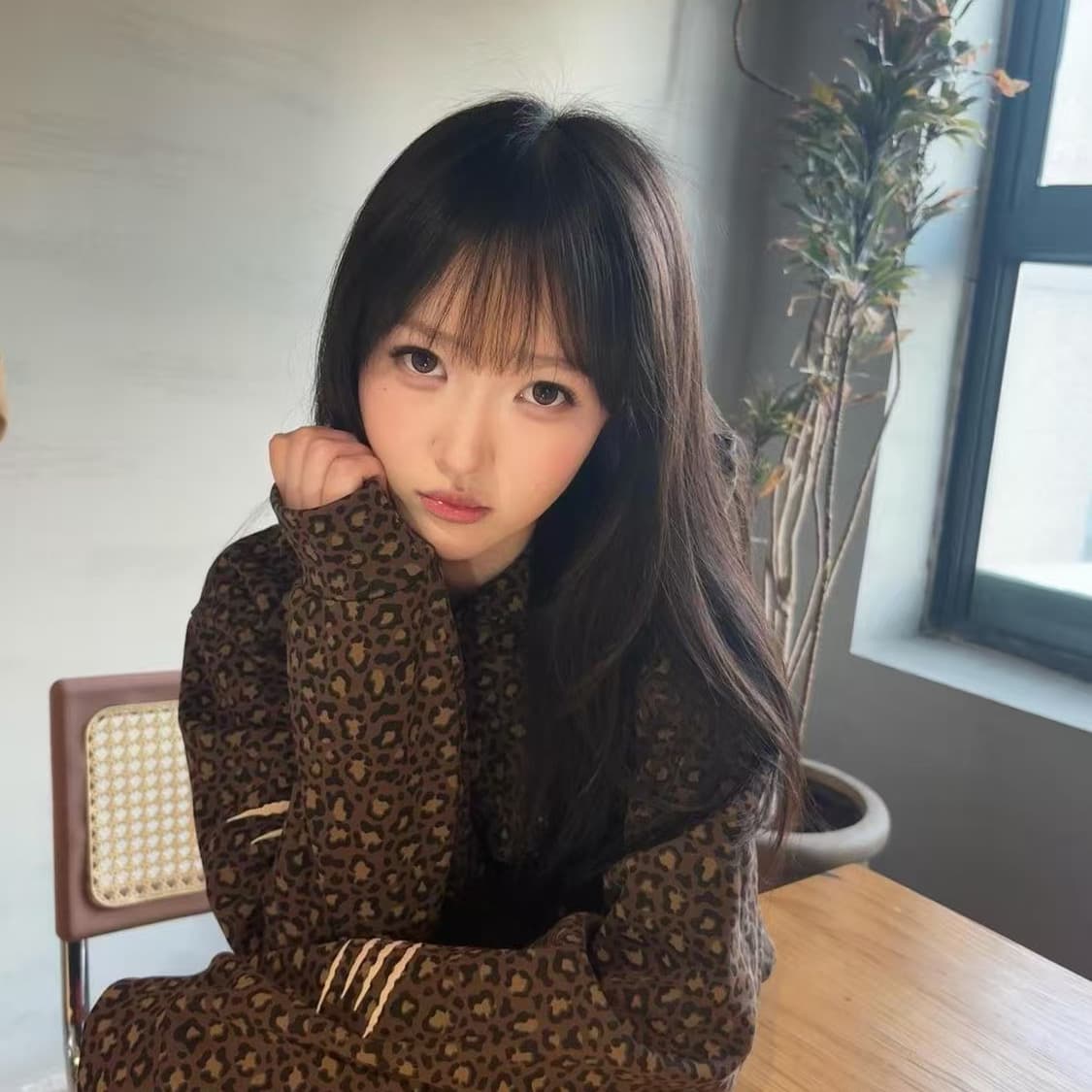 얇은 스타일 털이 있는 이후 패키지 기사 자수 순수한 Mianhua 면 복합 후드티 여성 상세 이미지 2